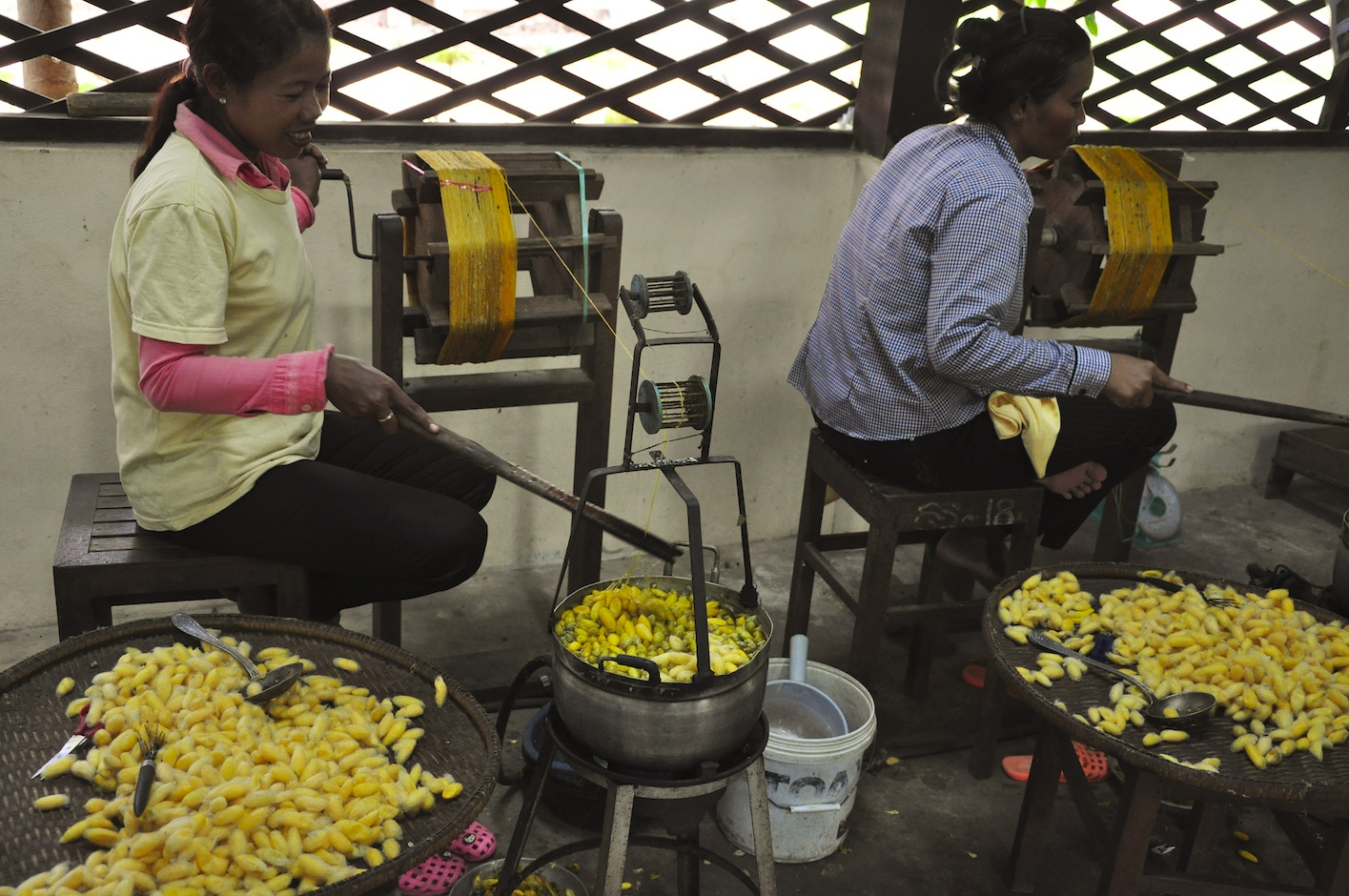 attraction-Banteay Meanchey Economy Silk Farm.jpg